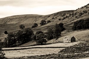 Old yorkshire
